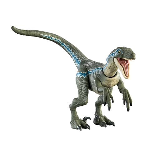 Mattel Jurassic World Hammond-Sammlung Dinosaurierfigur Velociraptor Blue, Premium-Design & Beweglichkeit, Spielzeug zum Sammeln, HTV62 von Mattel