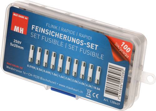 Max Hauri 128449 Feinsicherung-Sortiment (Ø x L) 5mm x 20mm Flink -F- Inhalt 100St. von Max Hauri