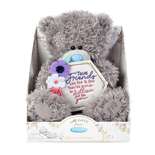 Me To You Bear AP901106 Me to You Tatty Teddy 'True Friends Official Signature Collection, Einheitsgröße, Grau von Me To You Bear