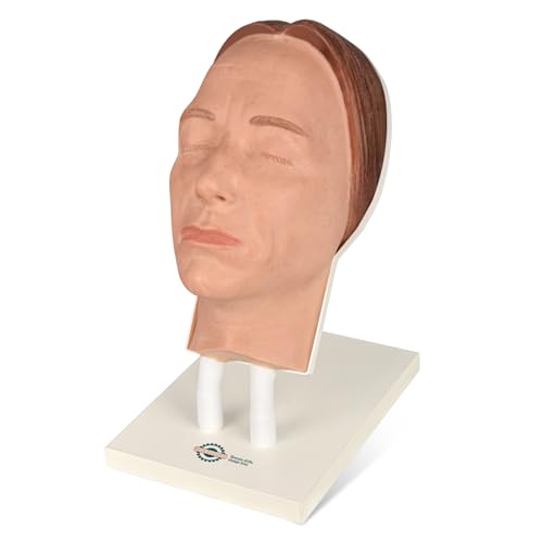 Silikon-Injektions-Mannequin-Gesichtstrainingsmodell, Make-up-Kopfmodell mit häufigen Gesichtsproblemen für den Mikroplastik-Unterricht von MedEduQuest