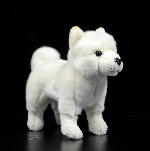 Meetiger Lebensechte Alaskan Malamute Plüschtiere weicher Welpe Shiba Inu Plüschtiere Hund Modell Puppe für Kinder Sammlergeschenk 25cm Weiß Shiba Inu von Meetiger