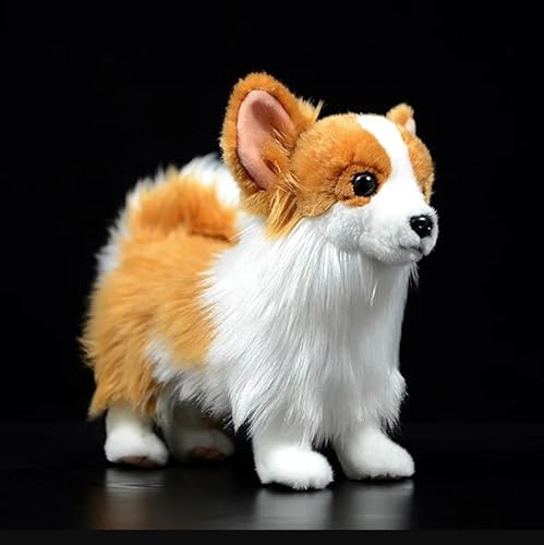 Meetiger Niedliche Simulation Pomeranian Plüschtier Hund Familiaris Puppe Modell Realistisches Tier für Kinder Geburtstagsgeschenk 30cm Pomeranian von Meetiger