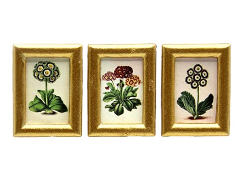 Melody Jane Puppenhaus 3 Auriculas Blume kleines Bild Gemälde Goldrahmen 1:12 Zubehör Melody Jane Puppenhaus 3 Auriculas Blume kleines Bild Gemälde Goldrahmen 1:12 Zubehör von Melody Jane