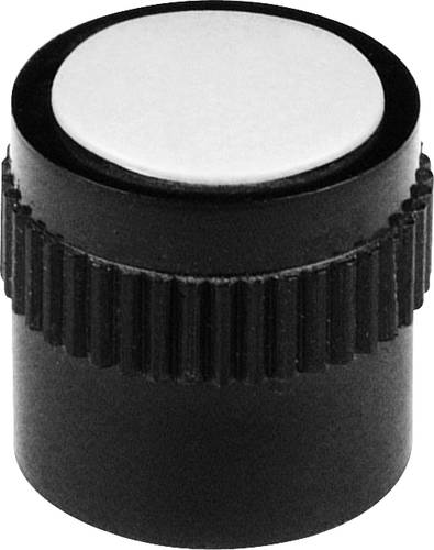 Mentor 4131.603 4131.603 Drehknopf Schwarz (Ø x H) 15mm x 15mm von Mentor