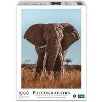Afrikanischer Elefant 1000 Teile (Donal Boyd) Afrikanischer Elefant 1000 Teile (Donal Boyd) von Merchant Ambassador