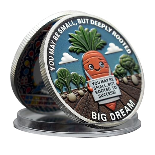 Big Dream Stay Spicy Challenge Coin Metal Medal You Bring The Heart Collection with Plastic Case Gift von Mercollection