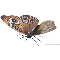 FASCINATIONS 502412 Metal Earth: Butterfly Buckeye von Metal Earth