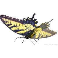 FASCINATIONS 502413 Metal Earth: Butterfly Tiger Swallowtail von Metal Earth