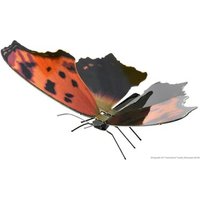 FASCINATIONS 502415 Metal Earth: Butterfly Eastern Comma von Metal Earth