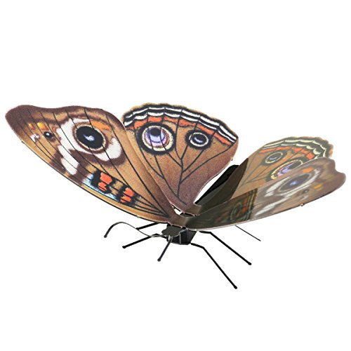 Fascinations MMS124 Metal Earth Metallbausätze - Schmetterling Butterfly Buckeye, lasergeschnittener 3D-Konstruktionsbausatz, 3D Metall Puzzle, DIY Modellbausatz mit 1 Metallplatine, ab 14 Jahre von Metal Earth