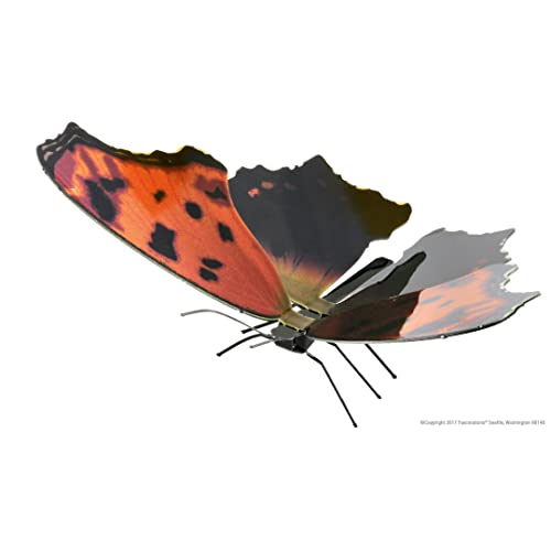 Fascinations MMS127 Metal Earth Metallbausätze - Schmetterling Butterfly Eastern Comma, lasergeschnittener 3D-Konstruktionsbausatz, 3D Metall Puzzle, DIY Modellbausatz mit 1 Metallplatine, ab 14 Jahre von Metal Earth