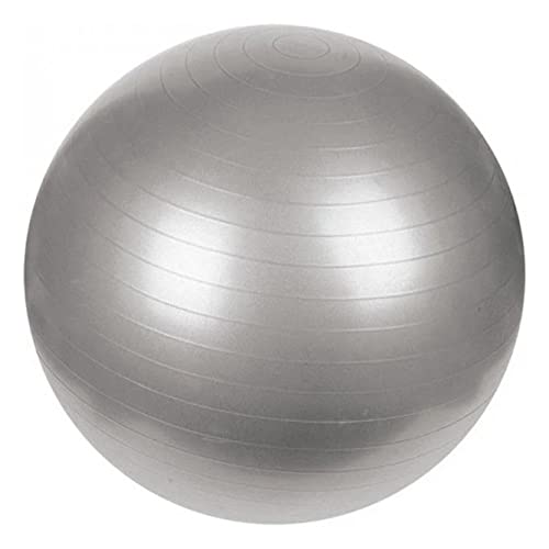 Gym Ball Gris 65 cm 1 Pz von Mets