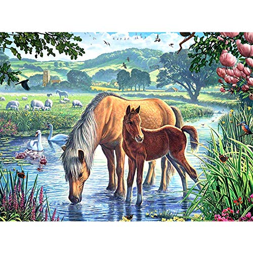 Puzzle | Pferd im Fluss | 500 Teile Puzzle Puzzle | Pferd im Fluss | 500 Teile Puzzle von Migsrater