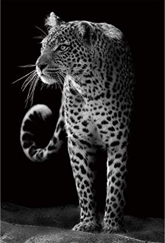Puzzle | schwarz-weißer Leopard Spielzeugpuzzles | Puzzle 1000 Teile von Migsrater