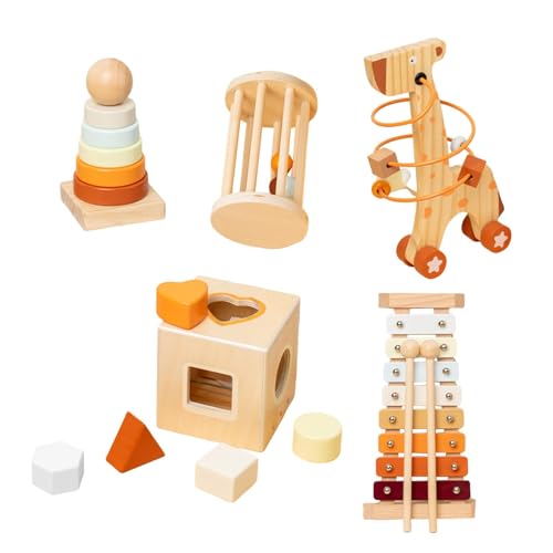 Milageto 5pcs Holzspielzeug Set für Babys Interactive Games Sensory Development Perlen Maze Vorschulbildung Spielzeug für Jungen Mädchen Kinder von Milageto