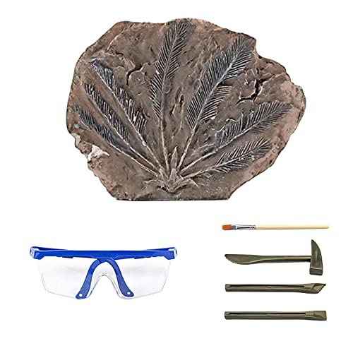 Milageto Ausgrabungsset, frühes Lernspielzeug, DIY-Grabspielzeug, Science-Kit, Spielzeug, Fossilien des Tyrannosaurus-Skeletts, für Kleinkinder im, Stein Milageto Ausgrabungsset, frühes Lernspielzeug, DIY-Grabspielzeug, Science-Kit, Spielzeug, Fossilien des Tyrannosaurus-Skeletts, für Kleinkinder im, Stein von Milageto