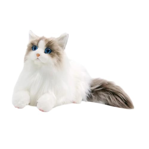 Milageto Realistische Ragdoll -Katze Stoffed Animal Cat Doll Simulation Begleitkatze Plüschspielzeug für Kinder Mädchen Geburtstagsgeschenke, Katze von Milageto