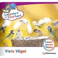 Lesestart mit Eberhart: Viele Vögel von Mildenberger Verlag GmbH