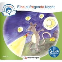 Zeit für Geschichten – 3-fach differenziert, Heft 10: Eine aufregende Nacht – B von Mildenberger Verlag GmbH