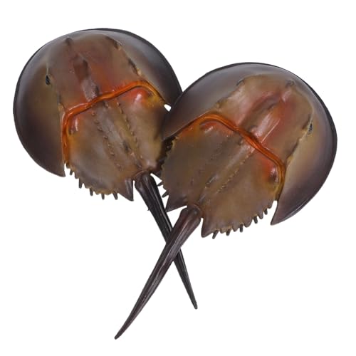 Milisten 2 Stück Realistische Plastik-messerkrebs-spielzeuge mit Lebensechtem Design Tiere Figurenset für Aquarium-Dekoration für Indoor-Outdoor-spielspaß Milisten 2 Stück Realistische Plastik-messerkrebs-spielzeuge mit Lebensechtem Design Tiere Figurenset für Aquarium-Dekoration für Indoor-Outdoor-spielspaß von Milisten