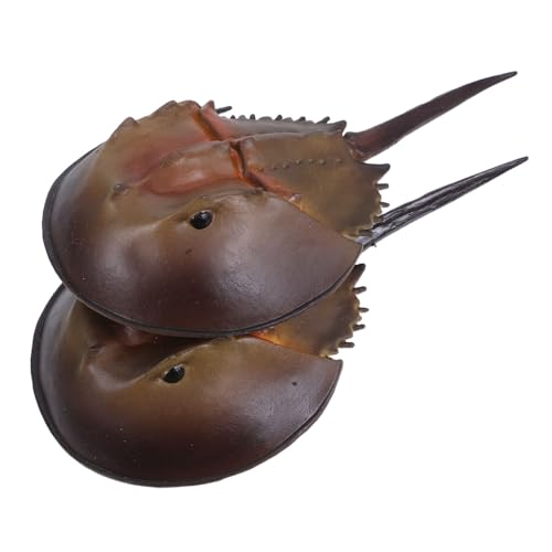 Milisten 2 Stück Realistische Plastikkrabben Simulierte Meeresbewohner Figuren für Indoor Outdoor Sandkasten Kreatives Lernspielzeug Meerestier Deko Milisten 2 Stück Realistische Plastikkrabben Simulierte Meeresbewohner Figuren für Indoor Outdoor Sandkasten Kreatives Lernspielzeug Meerestier Deko von Milisten