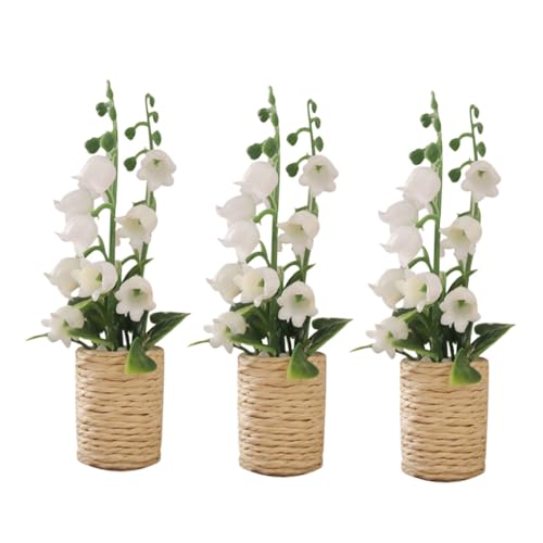 Milisten 3 Stück Mini Puppenhaus Dekoration Garten Winziger Topf Zubehör Blumenfigur Für Modellpflanzenfee – Ornament Bonsai Szene Simulation Basteln Künstliche Miniatur Milisten 3 Stück Mini Puppenhaus Dekoration Garten Winziger Topf Zubehör Blumenfigur Für Modellpflanzenfee – Ornament Bonsai Szene Simulation Basteln Künstliche Miniatur von Milisten