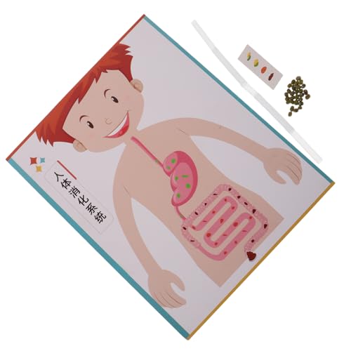 Milisten 4 Sätze DIY Digestive System Modell Bausatz für Interaktives Lernspielzeug zur Biologie und Körperlehre Pädagogisches Experimentierset für Kreatives Basteln und Eltern-Junge Milisten 4 Sätze DIY Digestive System Modell Bausatz für Interaktives Lernspielzeug zur Biologie und Körperlehre Pädagogisches Experimentierset für Kreatives Basteln und Eltern-Junge von Milisten