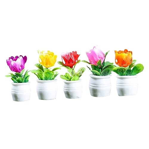 Milisten 5stücke Miniatur Pflanzentöpfe Resin Blumen Töpfe Für Dekoration Bonsai Blumenornamente Für Miniatur Und Wohnaccessoires Milisten 5stücke Miniatur Pflanzentöpfe Resin Blumen Töpfe Für Dekoration Bonsai Blumenornamente Für Miniatur Und Wohnaccessoires von Milisten