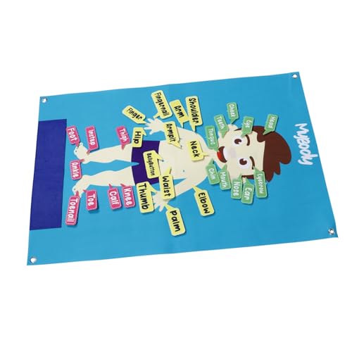 Milisten Interaktives Filz lernbrett Menschlicher Körper Weiches Pädagogisches Activity Board für Kindergarten Fördert Kognitive Entwicklung Eltern Junge Mädchen interaktion für Milisten Interaktives Filz lernbrett Menschlicher Körper Weiches Pädagogisches Activity Board für Kindergarten Fördert Kognitive Entwicklung Eltern Junge Mädchen interaktion für von Milisten