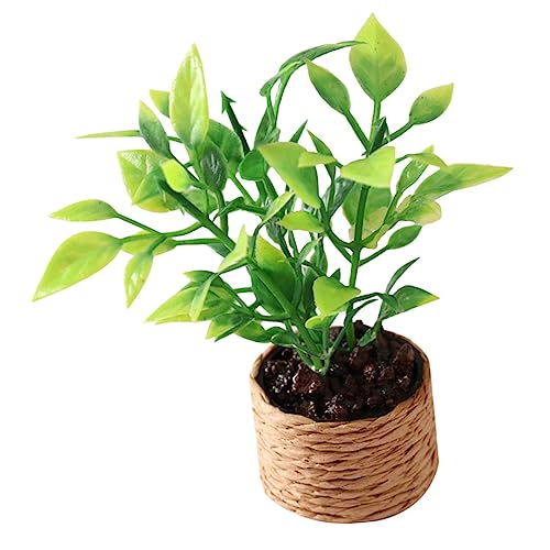 Milisten Miniatur Pflanzentopf Bonsai Für Dekoration Miniaturpflanze Für Mädchen Spielzeug Und -landschaftszubehör Milisten Miniatur Pflanzentopf Bonsai Für Dekoration Miniaturpflanze Für Mädchen Spielzeug Und -landschaftszubehör von Milisten