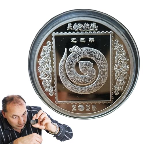 Chinese Snake Year Coin, Chinese Coin, Lunar Year Coin, Good Luck Keepsake Coin, Chinese New Year Souvenir, Gedenkmünze, 2024 Chinesische Schlangenmünze, Coin for Family von Mimoqk