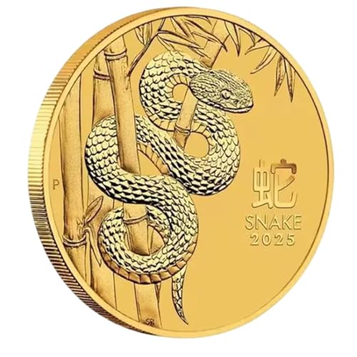 Mimoqk Year of The Snake Coin, Snake Fortune Coin, Memorial Snake Coin, Chinese Fengshui Coin, Lucky Gold Coin, Collectible Chinese Fengshui Snake Fortune Coin for Souvenir And Good Luck von Mimoqk