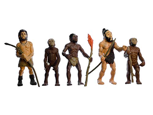 Miniblings 5X Evolution des Menschen Figuren Set - Hartgummi Figuren für Geschichte und Unterrichtsmaterial - Aufstellfiguren Mensch Neandertaler Steinzeit Spielzeug von Miniblings