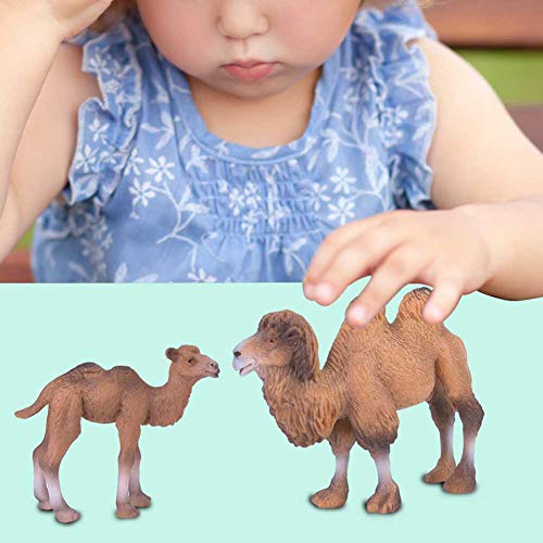 Miokycl 2 Stück Miniatur-Kamel-Figur, Tiermodell, Heimdekoration, Kinder, Lernspielzeug von Miokycl