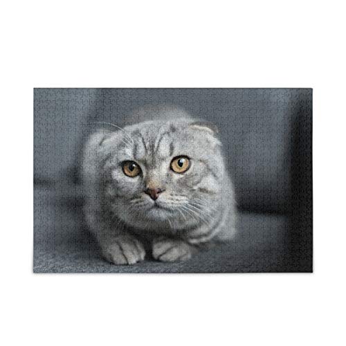 Mnsruu 1000 Teile Puzzle Scottish Fold Cat Puzzles für Erwachsene Kinder Familie Mnsruu 1000 Teile Puzzle Scottish Fold Cat Puzzles für Erwachsene Kinder Familie von Mnsruu