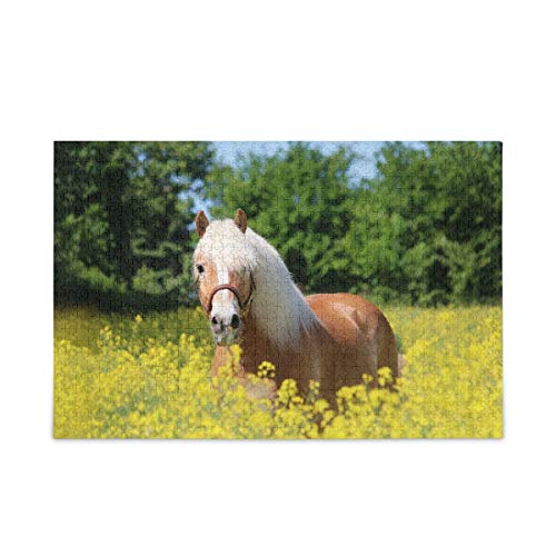 Mnsruu 1000pcs Puzzle Haflinger Pferdepuzzles für Erwachsene Kinder Familie von Mnsruu