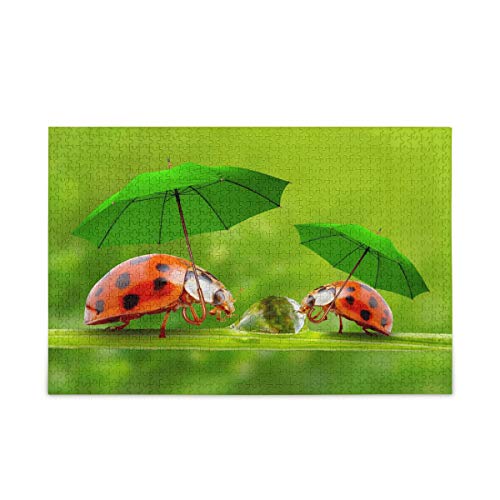 Mnsruu Süße Marienkäfer Ladybig mit Regenschirm Grüne Landschaft Natur Puzzle Freizeit Kreative Spiele 1000 Teile für Erwachsene Kinder Geschenk von Mnsruu