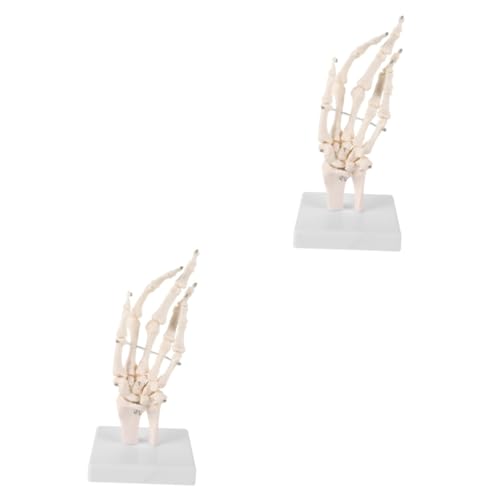 2St Handknochengelenkmodell medizinisches anatomisches Modell menschliches handgelenkmodell Medizinisches Handknochenmodell Menschliches Skelettmodell Labor-Tool Labs-Modellbasis Mobestech von Mobestech