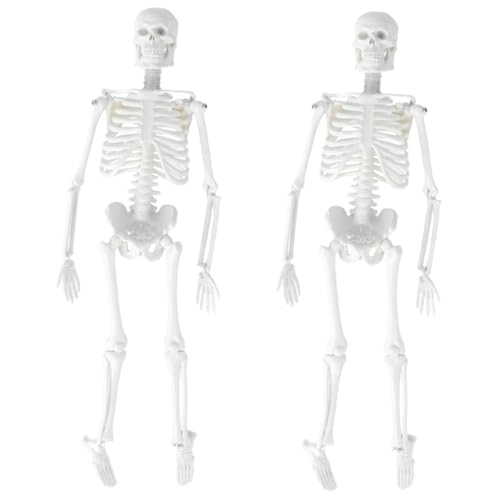 Mobestech 2st Anatomisches Studienmodell Statue Des Menschlichen Skeletts Modell Des Menschlichen Körpers Skelett in Voller Größe Anatomiemodell Menschliches Skelett Yellow von Mobestech