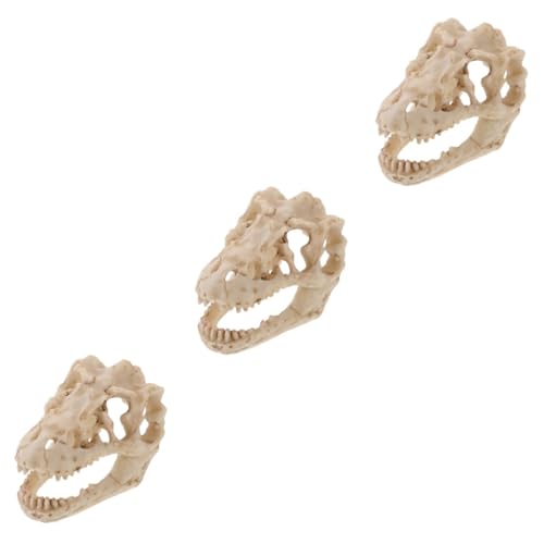 Mobestech 3 Stück Harz Reptil Dinosaurier Schädel Modell Gefälschter Schädel Dinosaurier Modell Harz Schädel Ornament Dinosaurier Schädel Dekorationen Modell Dinosaurier Schädel Harz von Mobestech