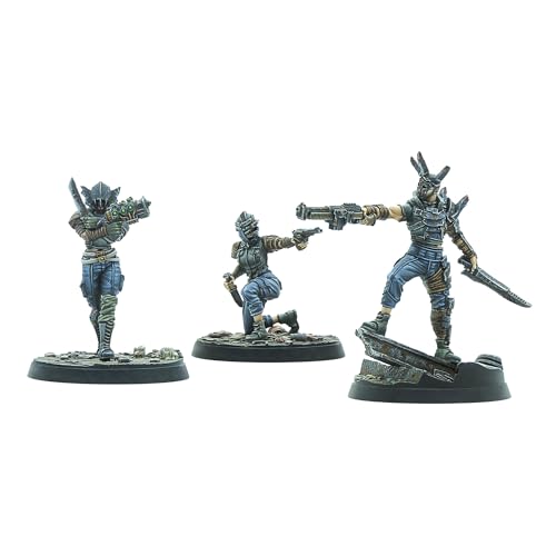 Fallout: Wasteland Warfare - Raiders: Disciples Leaders von Modiphius