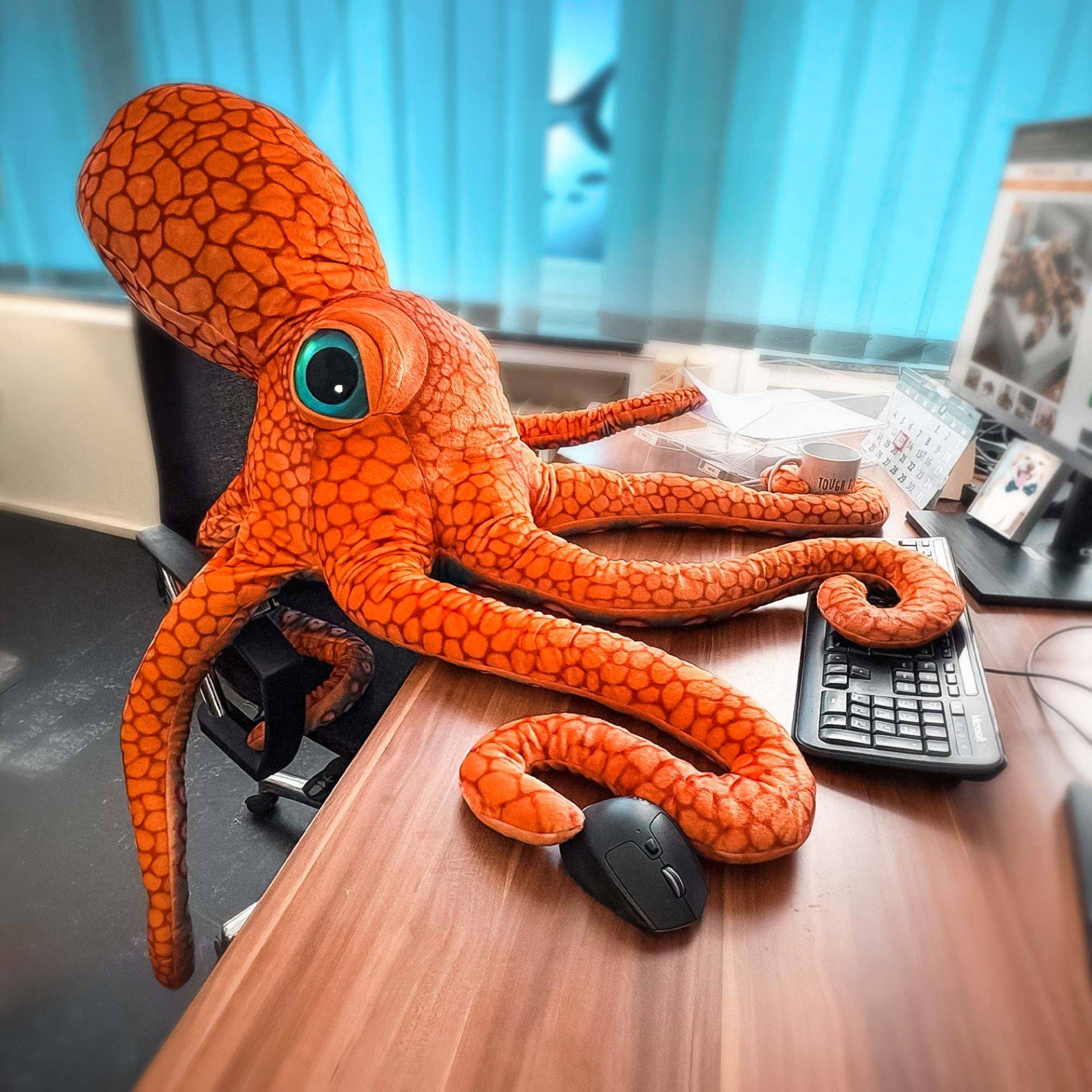 Riesen Oktopus - Kuscheltier & Kissen Riesen Oktopus - Kuscheltier & Kissen von Monsterzeug