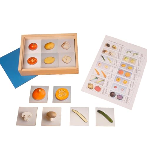 MontessoriPlus® - Lernspiel um Gemüsesorten kennenzulernen, EIN geniales Montessori-Material für Kindergarten und Grundschule von MontessoriPlus