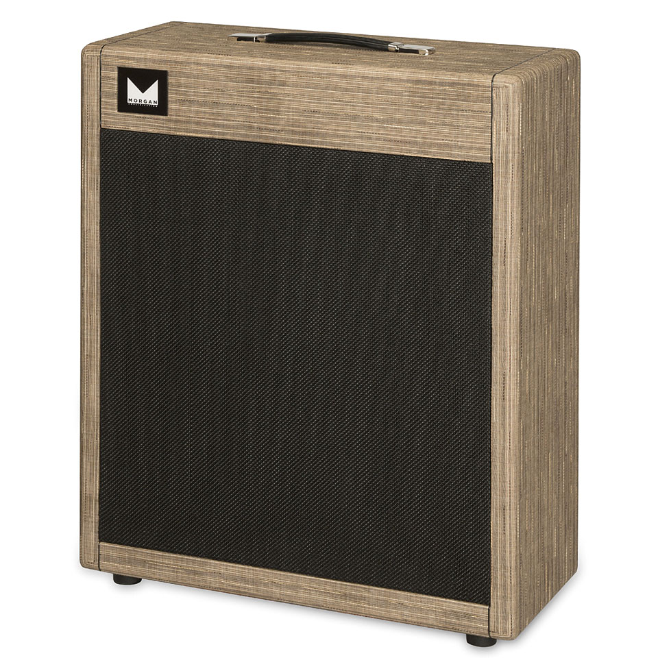 Morgan M212V Driftwood Box E-Gitarre von Morgan