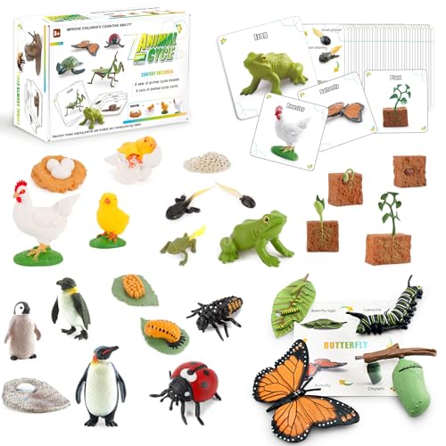 Mostop Life Cycle Kit Montessori Spielzeug, Realistische Figuren Spielzeug, Kinder Tier Match Set mit Frosch, Schmetterling, 25 Stück Tiere & Pflanzen mit Karte, Bildung Aktivität Spiele für Kinder 3+ von Mostop