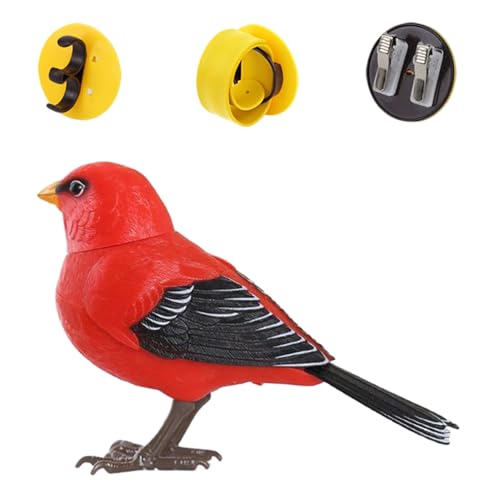 Moxeupon Spielzeug Vögel Für Kinder - Vogel Figuren Spielzeuge - Niedliches Realistisches Tier Interaktives Sensorikspiel Für Schreibtisch Deko Raum Wartebereich Moxeupon Spielzeug Vögel Für Kinder - Vogel Figuren Spielzeuge - Niedliches Realistisches Tier Interaktives Sensorikspiel Für Schreibtisch Deko Raum Wartebereich von Moxeupon