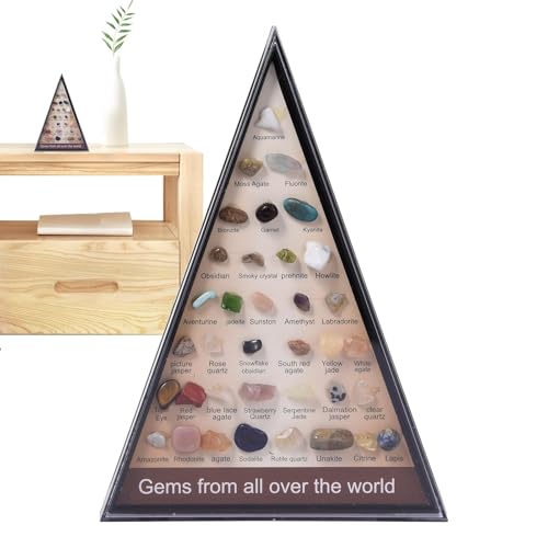 Muuzebsy Rock Collection For Kids – Mineralsammel-Set – Edelsteine & Identifikationsbuch Vitrine Fels- und Mineralsammlung für -Wissenschaft Bildung von Muuzebsy