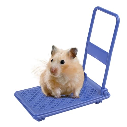 Hamsterwagen-Spielzeug, Kleintierspielzeug, Hamster-Anreicherungsspielzeug, Foto-Requisiten, Hamsterspielzeug, Chinchilla-Bett, Haustierspielzeug, Hamsterkäfig-Zubehör, Wagen, Chinchilla-Bett, von Mwkbbn