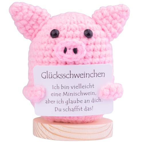 Mwmoeen Pocket Hug Glücksschweinchen, Positive Geschenke Schwein mit Energiekarte, Kreative Strickwolle Puppe für Frauen, Abschiedsgeschenk Kollegen(A) von Mwmoeen