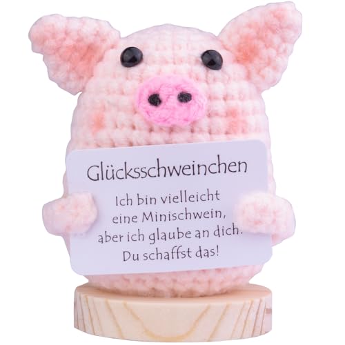 Mwmoeen Pocket Hug Glücksschweinchen, Positive Geschenke Schwein mit Energiekarte, Kreative Strickwolle Puppe für Frauen, Abschiedsgeschenk Kollegen(B) von Mwmoeen